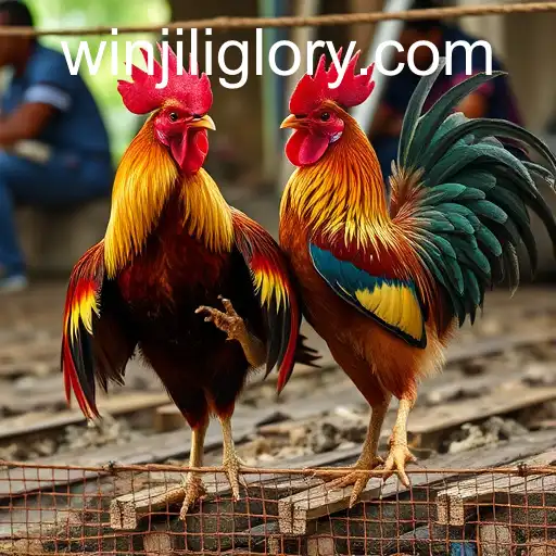 Exploring the Cultural Shift: The Emergence of Online Sabong